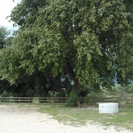 Varcodoro Giuliano di Roma